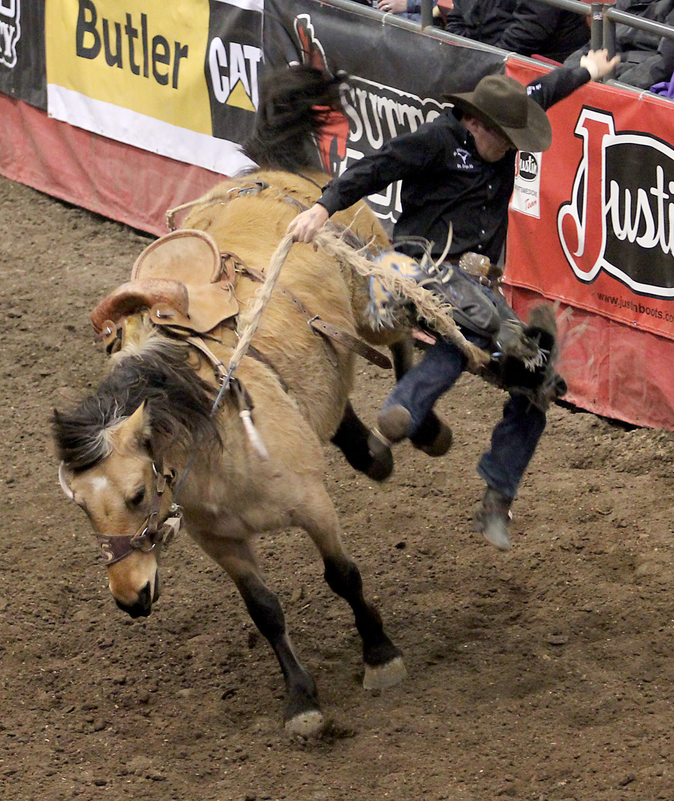 Rodeo 5.jpg